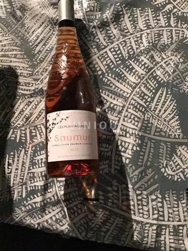 Valle del Loira Saumur Les Plantagenêts 2017