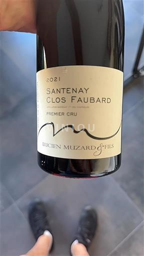 Bourgogne Santenay Premier Cru Lucien Muzard & Fils 2021