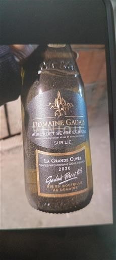 Valle del Loira Muscadet-sèvre-et-maine Domaine Gadais La Grande 2020
