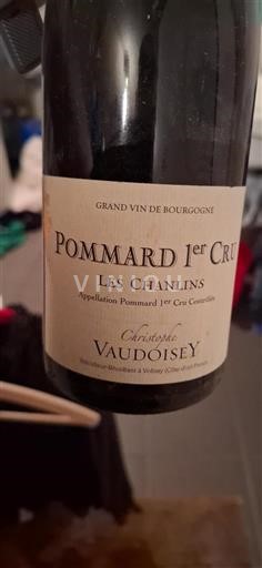 Burgundsko Pommard Premier Cru Domaine Christophe Vaudoisey Les Chanlins 2016