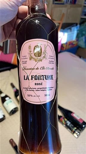Quebec Unspecified Domaine L'île Ronde La Fortune Non-Vintage