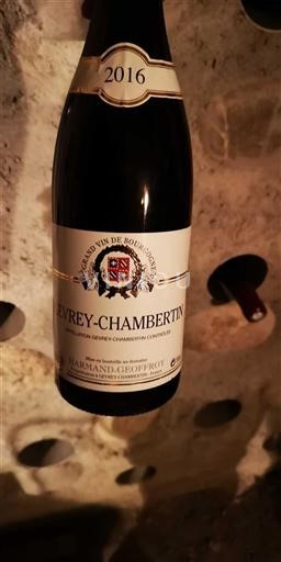 Bourgogne Gevrey-chambertin Harmand-geoffroy 2016