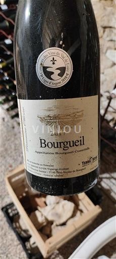 Vallée de la Loire Bourgueil Domaine Olivier 2017