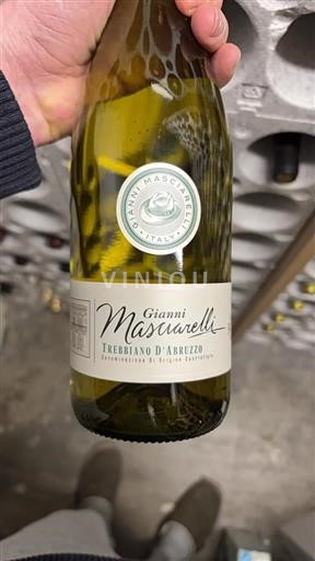 Vin Blanc sec Gianni Masciarelli 2023 Italie Abruzzes Trebbiano d'Abruzzo DOC