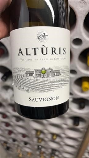 Friuli Venezia Giulia Venezia Giulia Alturis Sauvignon 2022