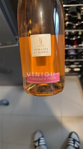 Valle della Loira Cabernet d'Anjou Domaine St Martin 2016