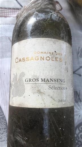Jihozápad Nespecifikováno Domaine Des Cassagnoles Gros Manseng Sélection 2016