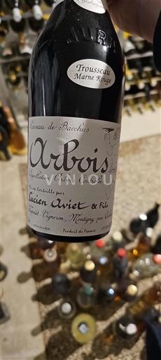 Jura Arbois Lucien Aviet & Fils Trousseau Marne Rouge 2019