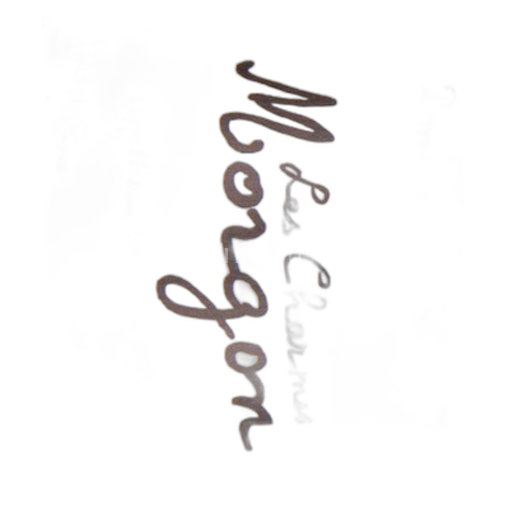 Beaujolais Morgon Domaine St Cyr 2022