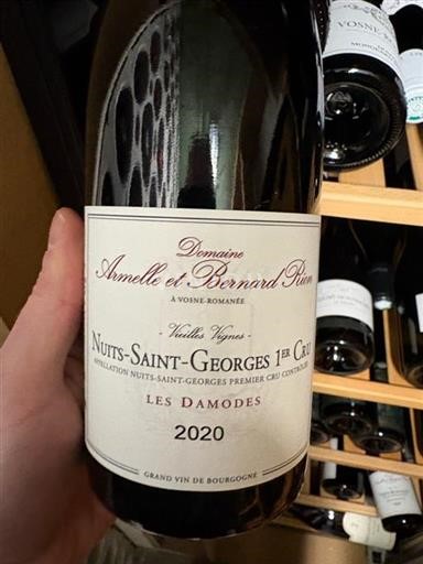 Bourgogne Nuits-saint-georges Premier Cru Armelle Et Bernard Rion Les Damodes 2020