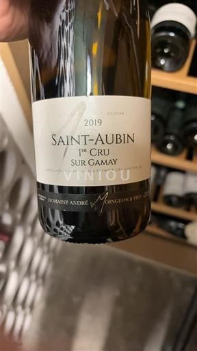 Burgundsko Saint-Aubin Premier Cru Domaine André Moingeon & Fils Sur Gamay 2019