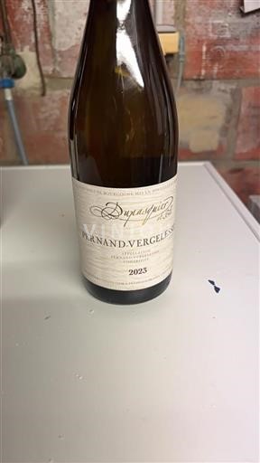 Bourgogne Pernand-Vergelesses Grand Cru Dupasquier Et Cie 2023