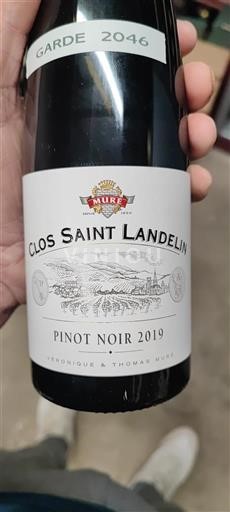 Alsace Clos Saint Landelin Pinot Noir 2019