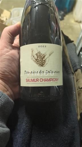 Valle della Loira Saumur-Champigny Domaine Des Galmoises 2022