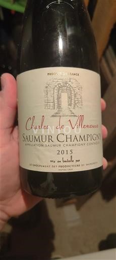 Vallée de la Loire Saumur-champigny Charles De Villeneuve 2015