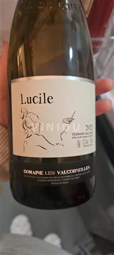 Valle della Loira Touraine-Mesland Les Vaucorneilles Lucile 2022