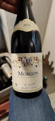 Beaujolais Morgon Les Petitsfils De Benoît Lafont 2021