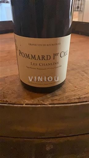 Burgundsko Pommard Premier Cru Domaine Christophe Vaudoisey Les Chanlins 2019