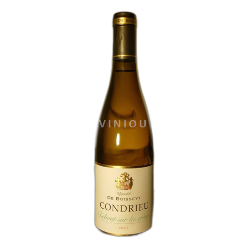 Vallée du Rhône Condrieu Vignoble De Boisseyt Debout sur les crêtes 2021