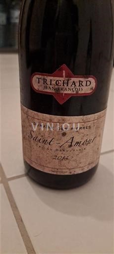 Beaujolais Saint-Amour Jeanfrançois Trichard Domaine des Pierres 2013