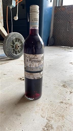 Provence, Unteres Rhônetal, Korsika Île de Beauté Domaine À Tippana 2020