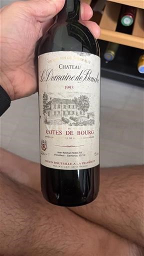 Bordeaux Côtes-de-bourg Domaine Le De Bouche 1993