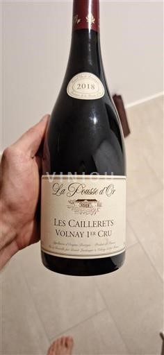 Bourgogne Ospecificerad Premier Cru Domaine La Pousse Or Les Caillerets 2018