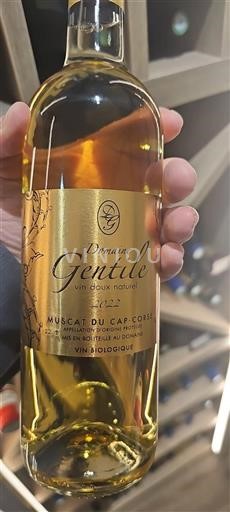 Corse Muscat-du-cap-corse Domaine Gentile 2022