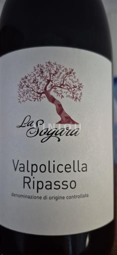 Veneto Valpolicella Ripasso La Sogara Valpolicella Ripasso Senza annata