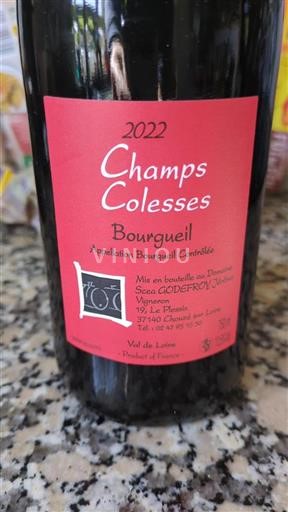 Loire Valley Bourgueil Scea Godefroy Champs Colesses 2022