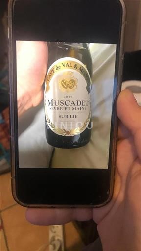 Vin Blanc sec Sur Lie Cave De Val & Mont 2019 France Vallée de la Loire Muscadet-sèvre-et-maine AOC