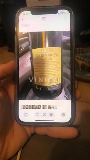 Elsass Wolfberger Riesling Ohne Jahrgang