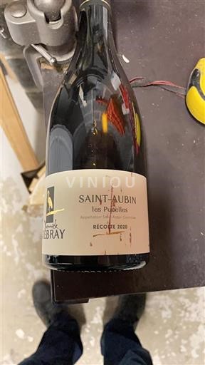 Borgogna Saint-Aubin Yannick Debray les Pucelles 2020