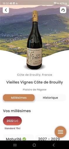 Beaujolais Côte-de-brouilly Plaisirs De Pégase Vieilles Vignes 2022