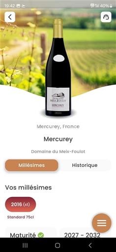 Bourgogne Mercurey Grand Cru Domaine Meix Foulot 2016