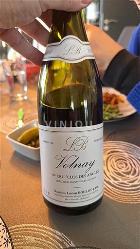 Borgogna Non specificato Premier Cru Domaine Lucien Boillot & Fils Clos des Angles 2020
