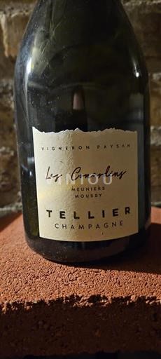 Champagne Non specificato Tellier Les Conardins Senza annata