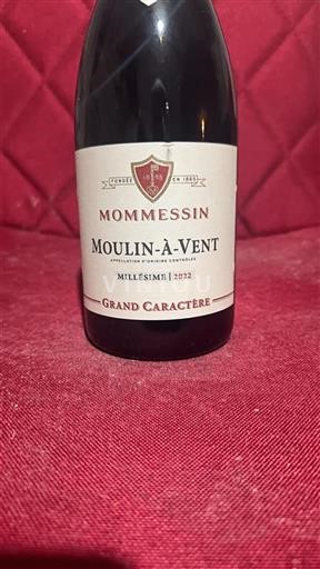 Beaujolais Moulin-à-vent Mommesin Grand Caractère 2022