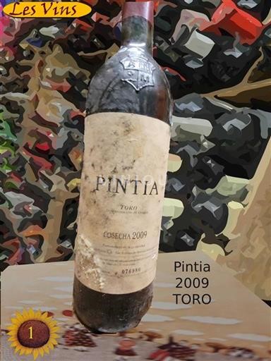 Castile and León Toro Pintia 2009