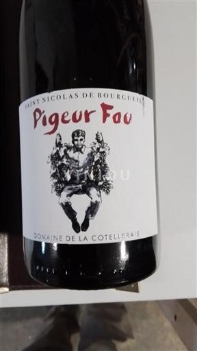 Loire-dalen Saint-Nicolas-De-Bourgueil Domaine La Cotelleraie Pigeur Fou 2019