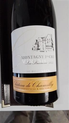 Bourgogne Ikke specificeret Premier Cru Château Chamilly Les Burnins 2022
