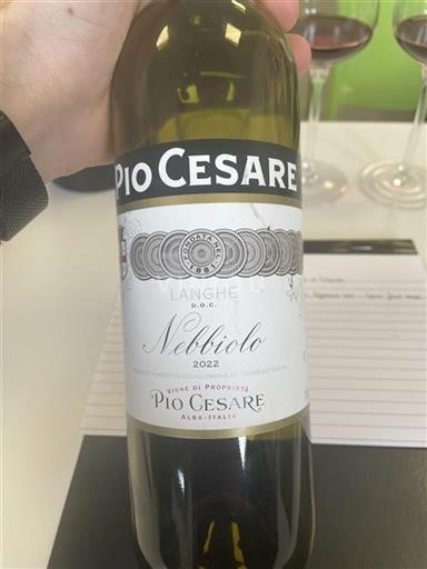 Piemonte Langhe Pio Cesare Nebbiolo 2022