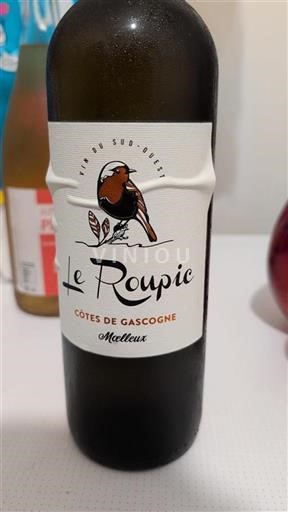 Sydvestfrankrig Côtes de Gascogne Le Roupic 2022