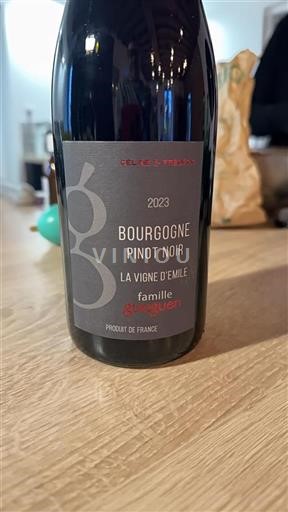 Bourgogne Grand Cru Famille Gueguen La Vigne d%27Emile 2023