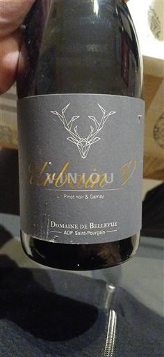Valle del Loira Saint-Pourçain Domaine Bellevue Urbain V 2018