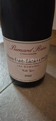Bourgogne Nuits-saint-georges Premier Cru Domaine Bernard Rion Les Damodes 2022
