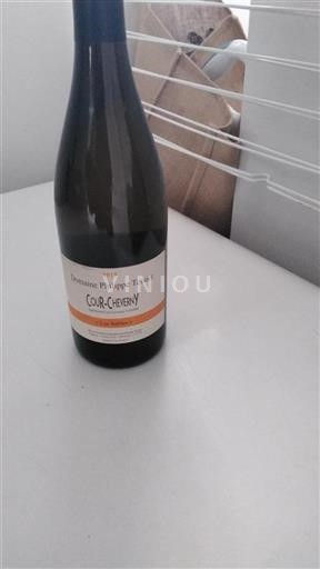 Údolí Loiry Cour-cheverny Domaine Philippe Tessier Les Sables 2019