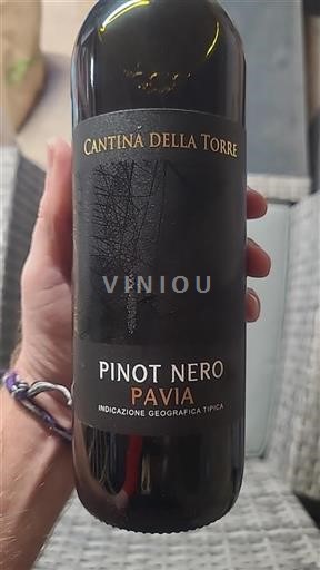 Piemont Gavi Cantina Della Torre Pinot Nero Ohne Jahrgang
