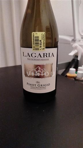 Veneto Vigneti delle Dolomiti Lagaria Pinot Grigio Senza annata