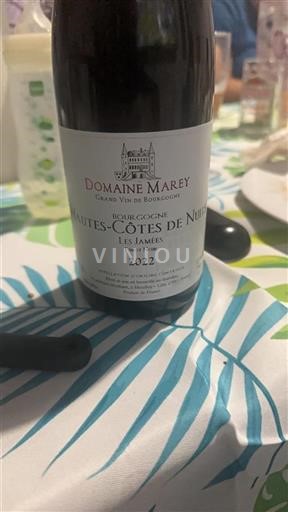 Bourgogne Hautes Côtes de nuits Grand Cru Domaine Marey Les Jam%c3%a9es 2022